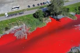 Arroyo de Buenos Aires investigan contaminaciónd